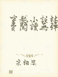 穿越小说林丰免费阅读无弹窗
