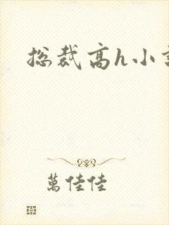总裁高h小说