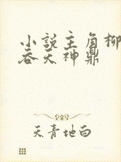 小说主角柳无邪吞天神鼎