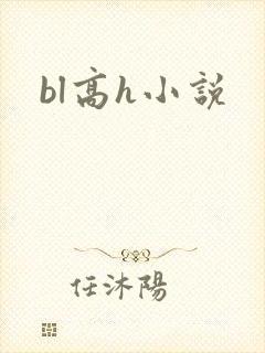 bl高h小说封面