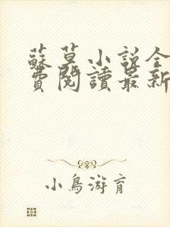 苏莫小说全文免费阅读最新章节封面