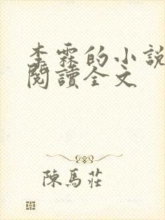 李霖的小说免费阅读全文封面