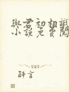 与君初相识原著小说免费阅读