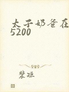 太子奶爸在花都5200封面