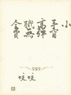 全职高手小说免费无弹窗