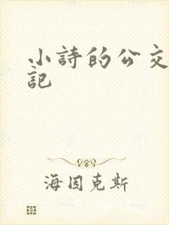 小诗的公交车日记