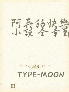 阿兵的快乐生活小说 全章节阅读免费
