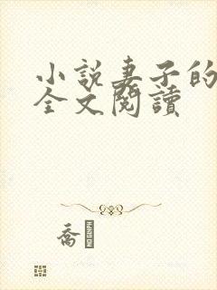 小说妻子的秘密全文阅读