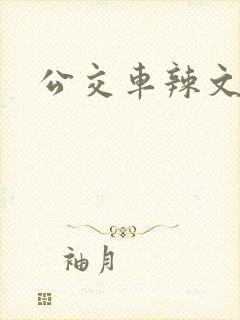 公交车辣文高h