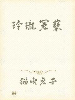 玲珑冤孽封面