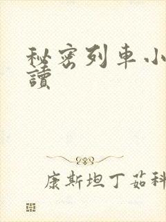 秘密列车小说阅读封面