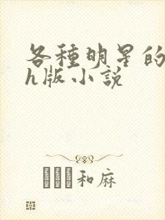 各种明星的综艺h版小说