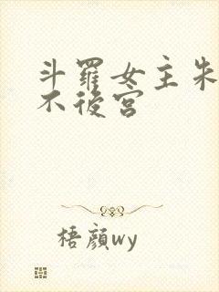 斗罗女主朱竹清不后宫