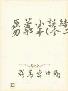 原著小说结局匆匆那年(全二册)