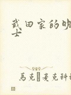 武田家的明国武士
