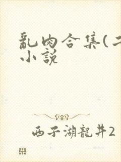 乱肉合集(二)小说