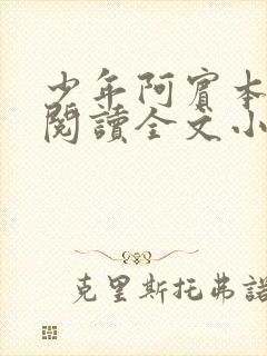 少年阿宾本全文阅读全文小说