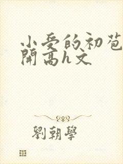 小受的初苞被强开高h文封面