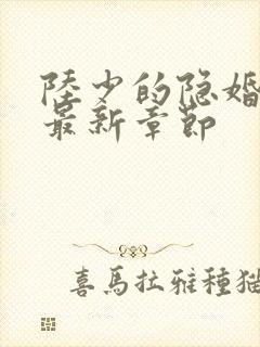 陆少的隐婚罪妻最新章节封面