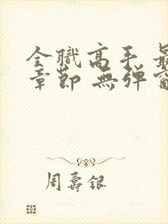 全职高手 最新章节 无弹窗