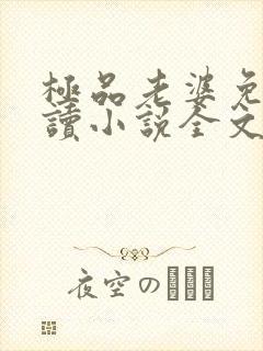 极品老婆免费阅读小说全文封面