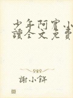 少年阿宾小说阅读全文免费