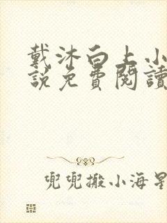 戴沐白上小舞小说免费阅读