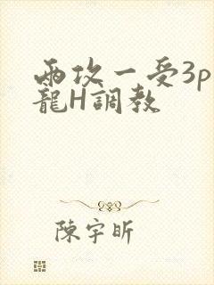 两攻一受3p双龙H调教