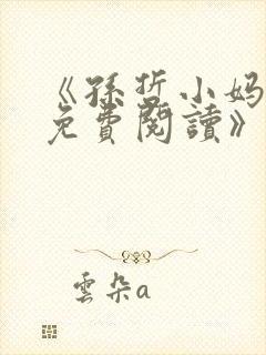 《孙哲小妈朱颜免费阅读》封面