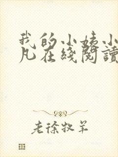 我的小姨小说叶凡在线阅读全文