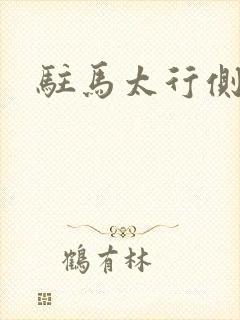 驻马太行侧封面