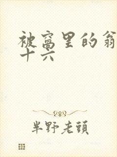 被窝里的翁憩二十六封面