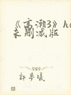 《高潮3》hd未删减版