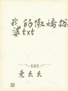 我的傲娇总裁老婆txt封面