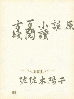 方夏小说原著在线阅读