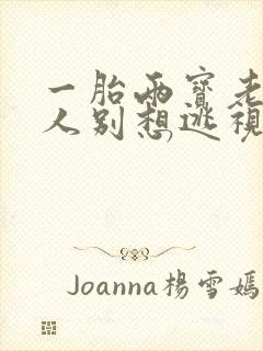 一胎两宝老婆大人别想逃视频