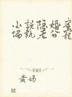 小说隐婚蜜爱:偏执老公宠上瘾在线阅读