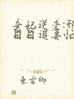 弃妃逆袭:邪王日日追妻忙小说免费阅读