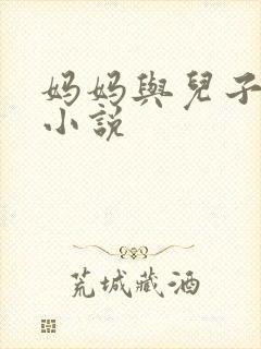 妈妈与儿子乱性小说封面