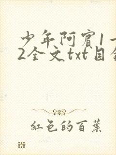 少年阿宾1一72全文txt目录