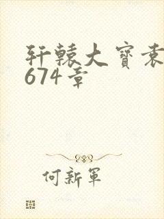 轩辕大宝袁雪妃674章