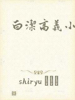 白洁高义小说