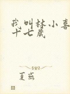 我叫林小喜今年十七岁封面