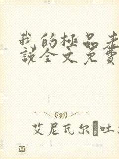我的极品老婆小说全文免费阅读封面