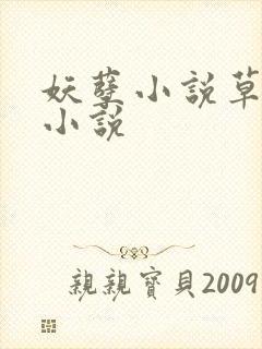 妖孽小说草莓酱小说