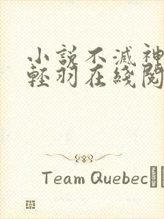 小说不灭神主周轻羽在线阅读全文