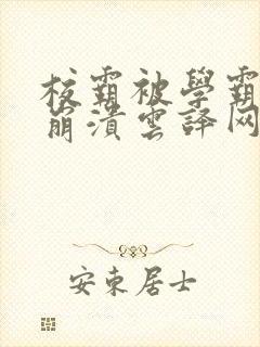 校霸被学霸玩到崩溃云译网封面