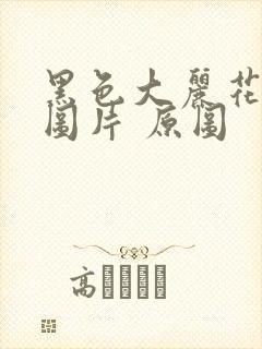 黑色大丽花真实图片 原图