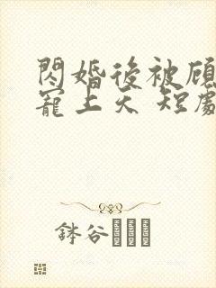 闪婚后被顾先生宠上天 短剧