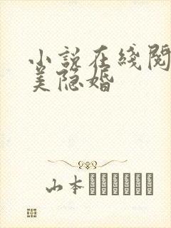 小说在线阅读完美隐婚